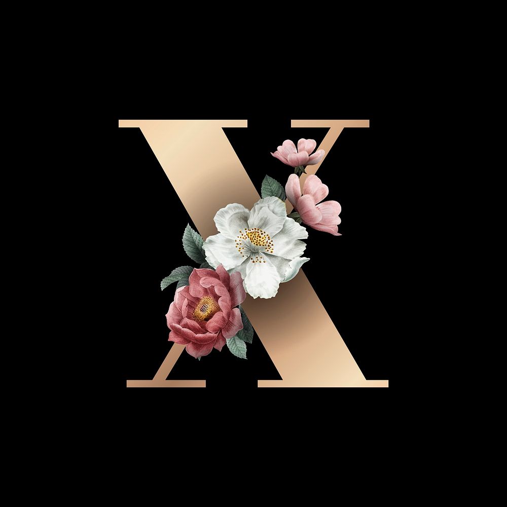 Classic and elegant floral alphabet font letter X vector