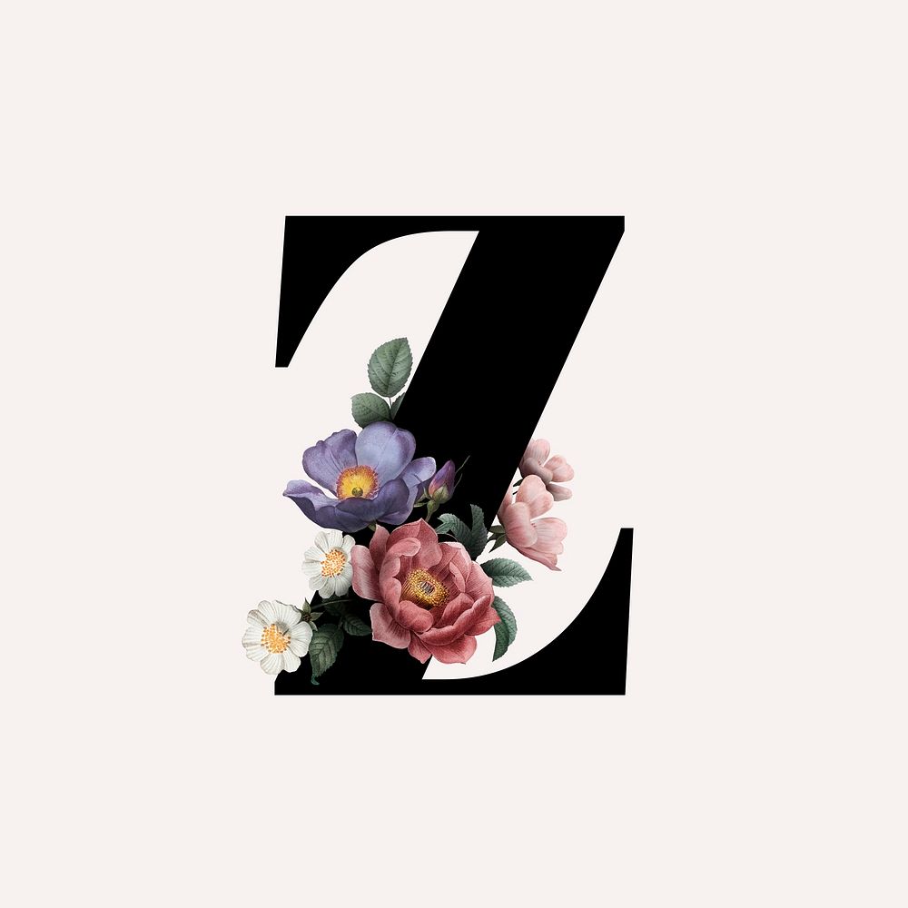 Classic and elegant floral alphabet font letter Z vector