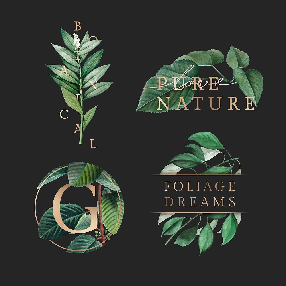 Tropical botanic logo collection vector