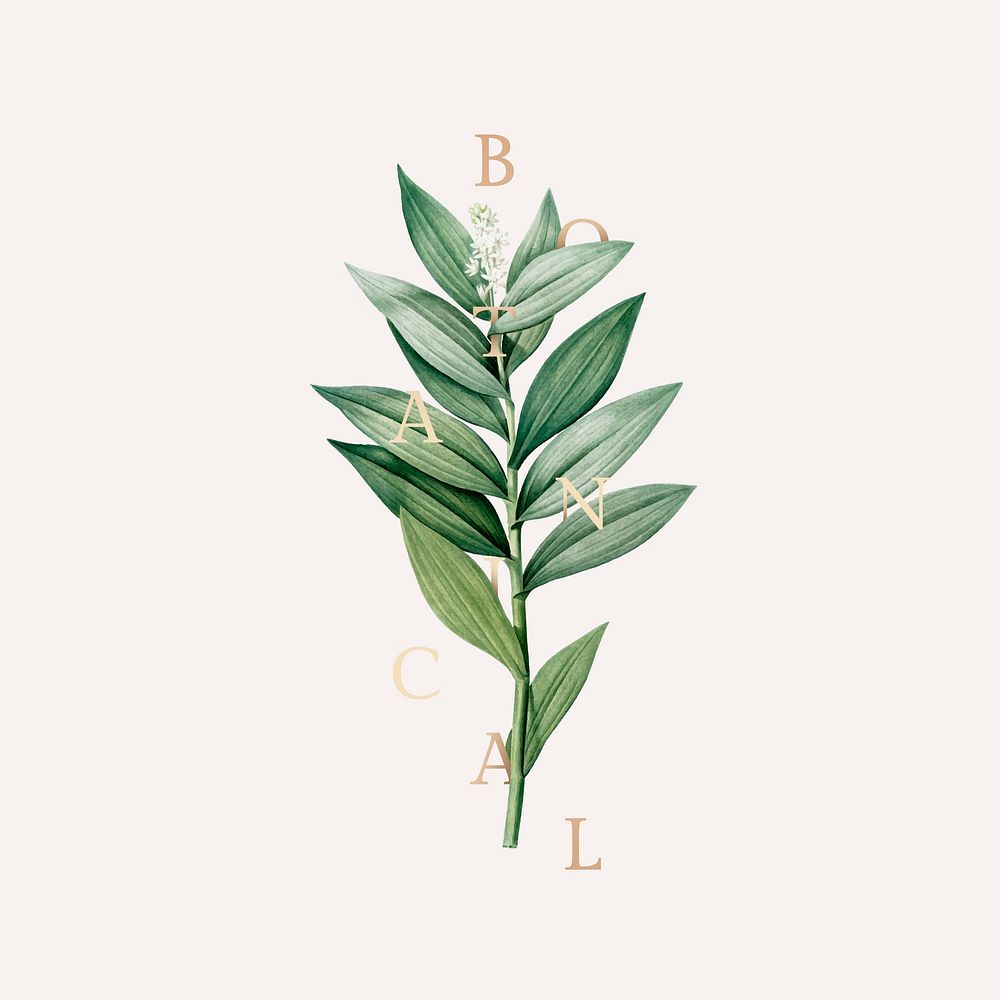 Tropical botanical leaves logo vector