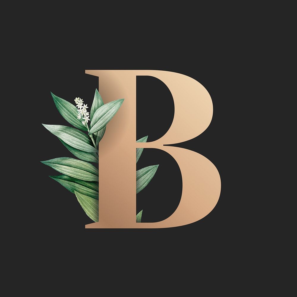 Botanical capital letter B vector