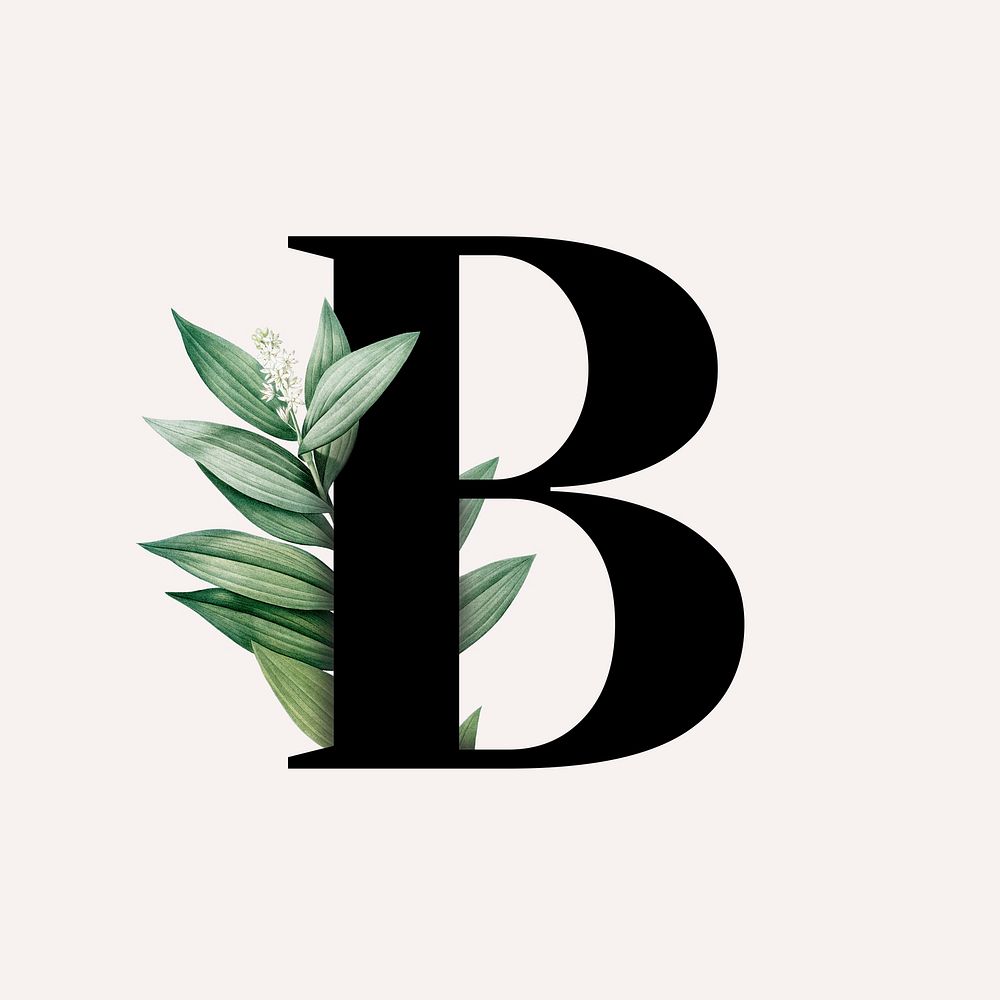 Botanical capital letter B illustration