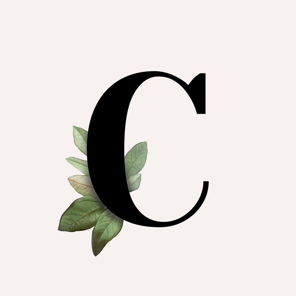 Botanical capital letter C vector