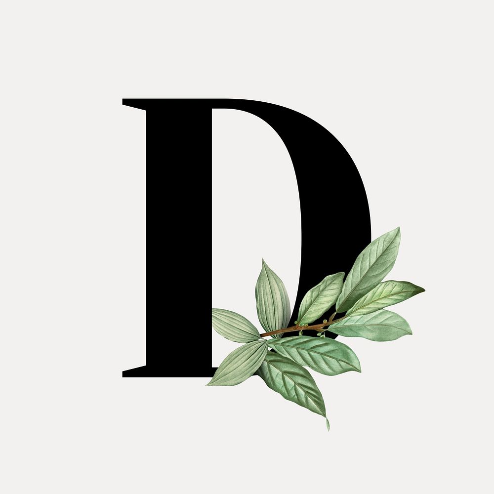 Botanical capital letter D illustration