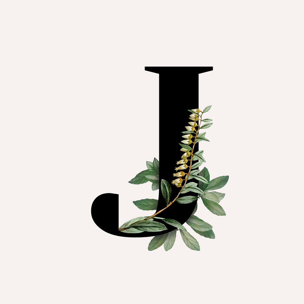 Botanical capital letter J illustration