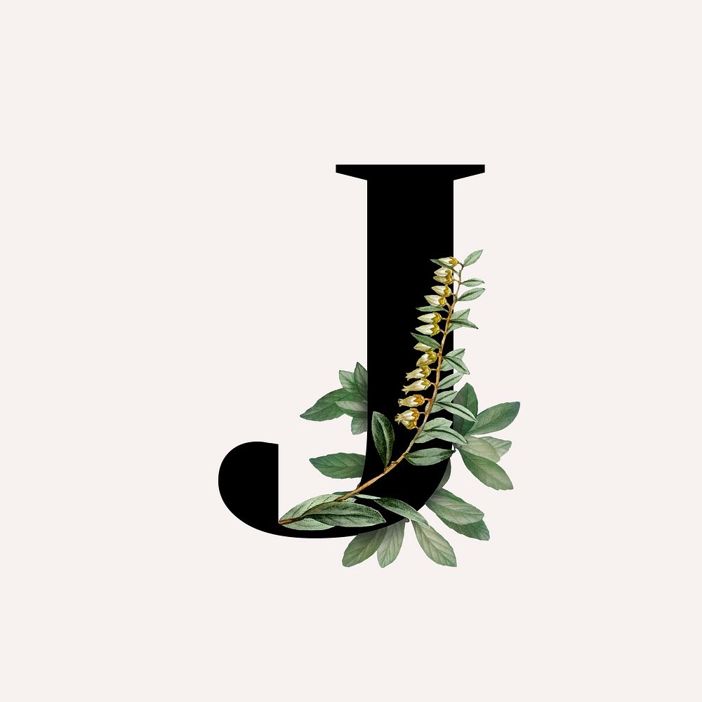 Botanical capital letter J vector