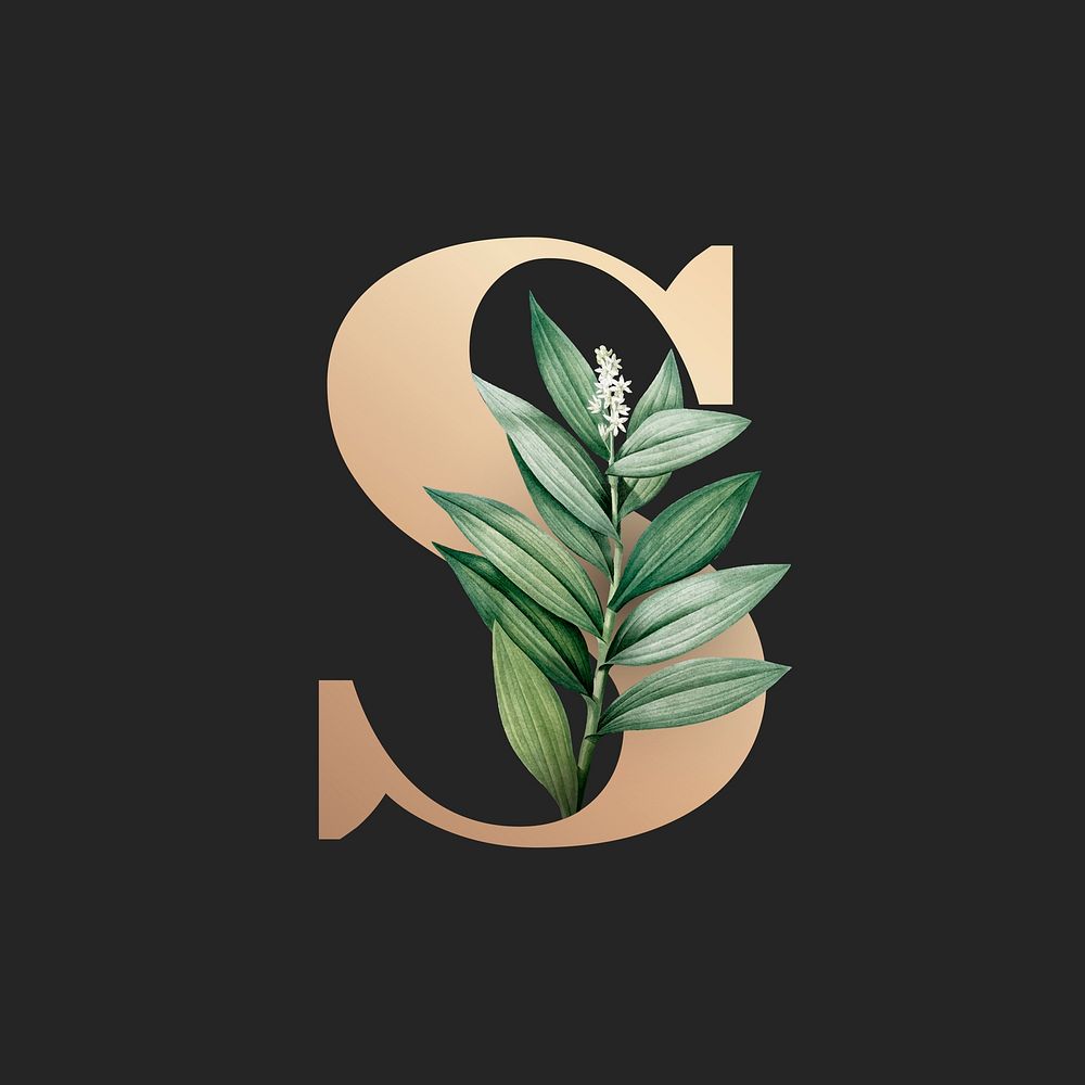 Botanical capital letter S vector