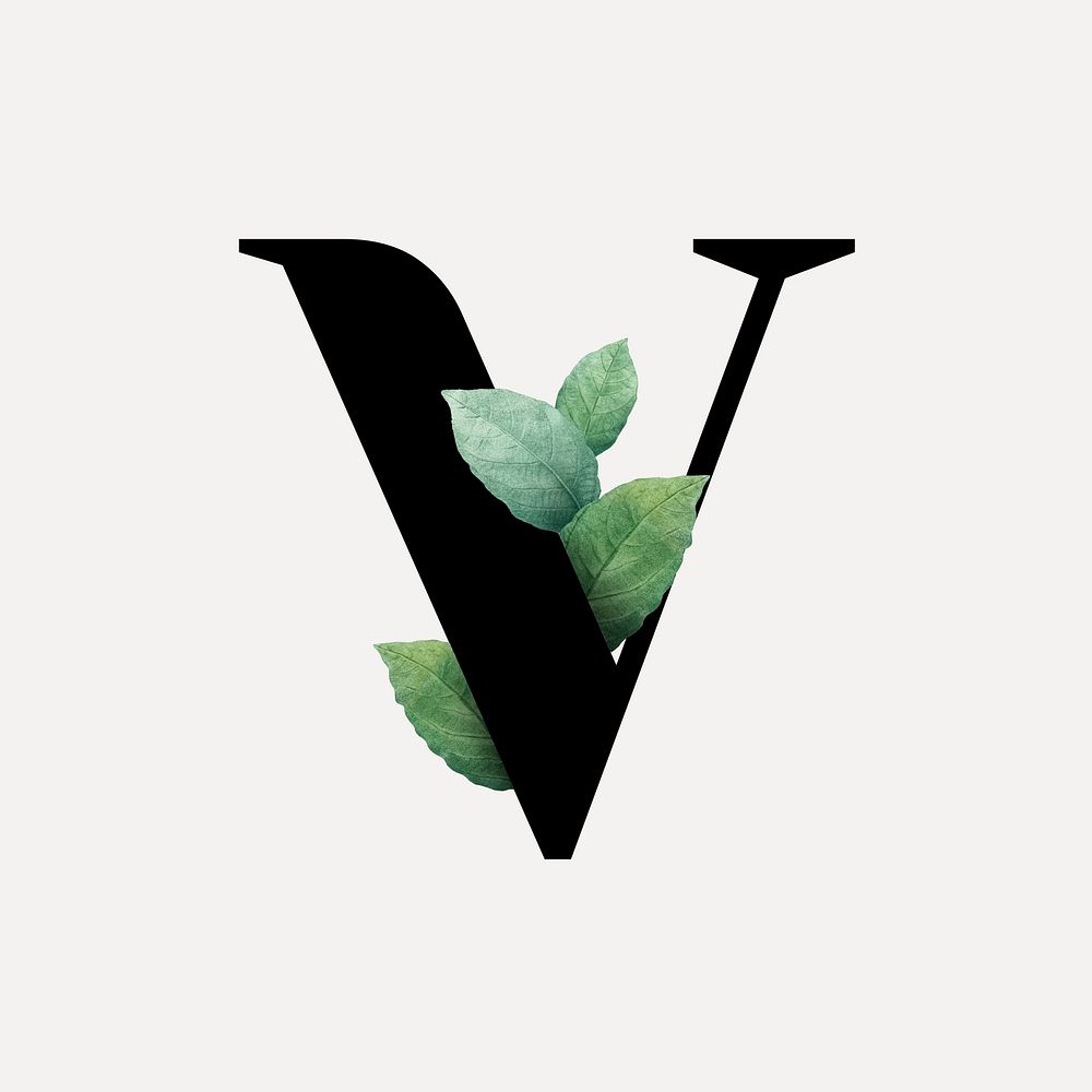 Botanical capital letter V vector