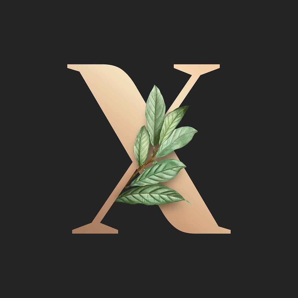 Botanical capital letter X illustration