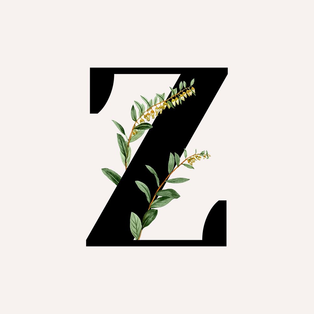 Botanical capital letter Z illustration
