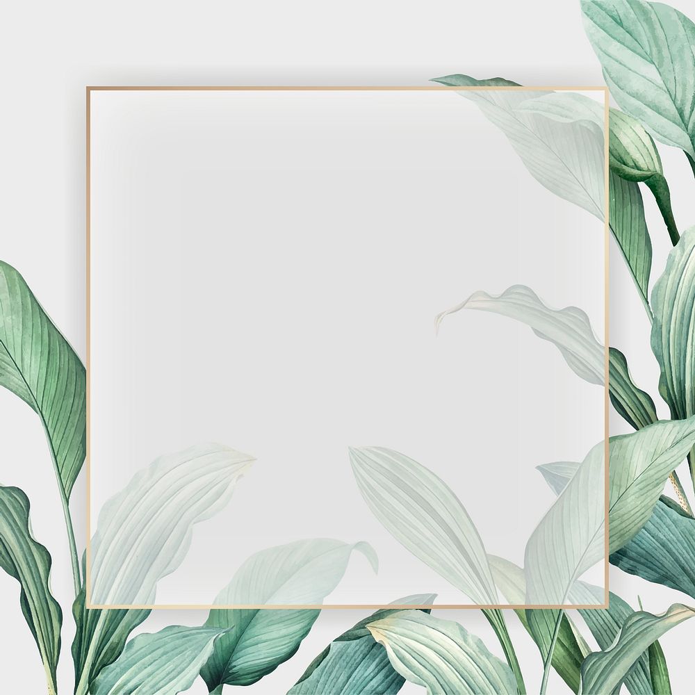 Gold frame on a tropical leaves background vector