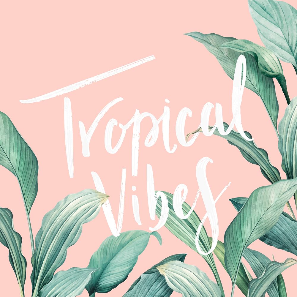 Tropical vibes on a pastel pink background vector