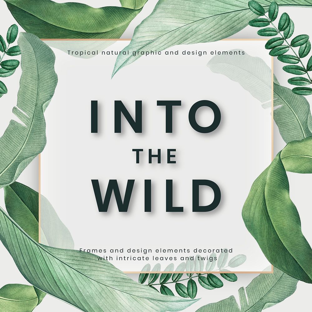 Into the wild poster on a hand drawn tropical leaves white background