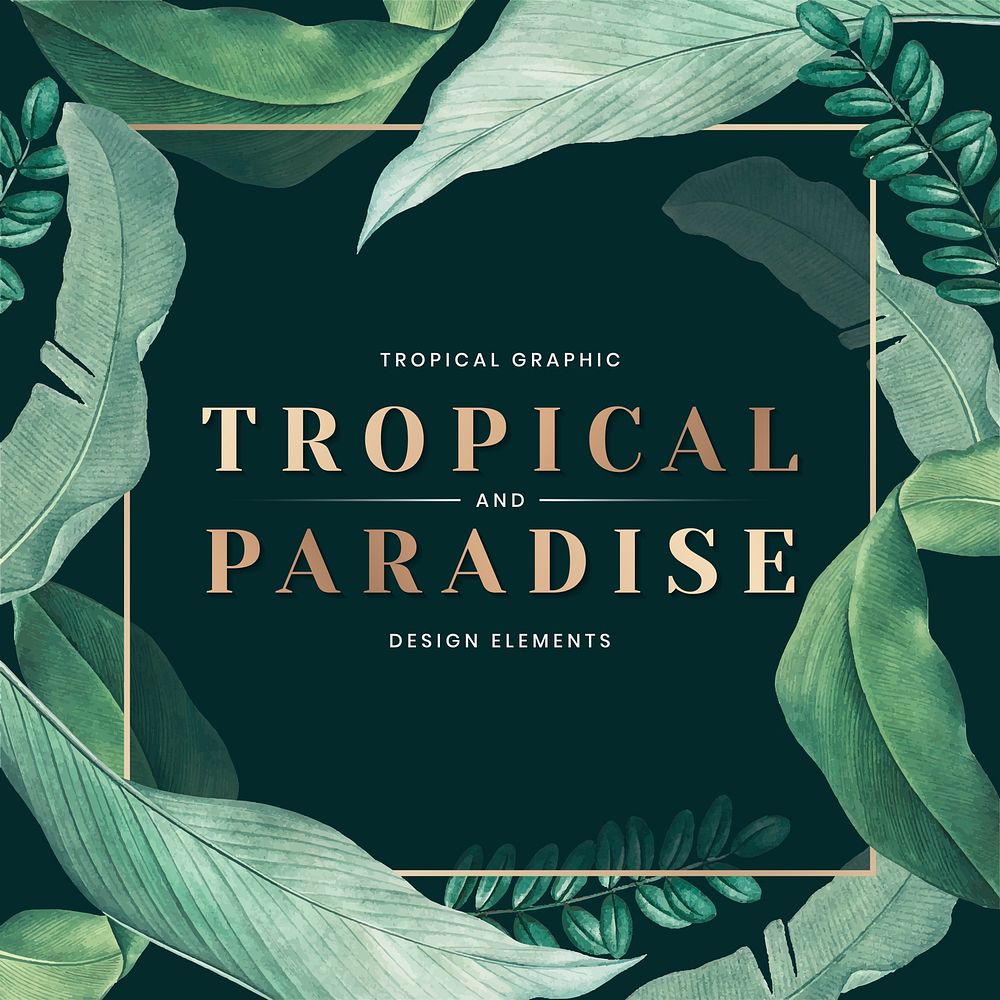 Tropical paradise poster decorated with hand drawn tropical leaves vector