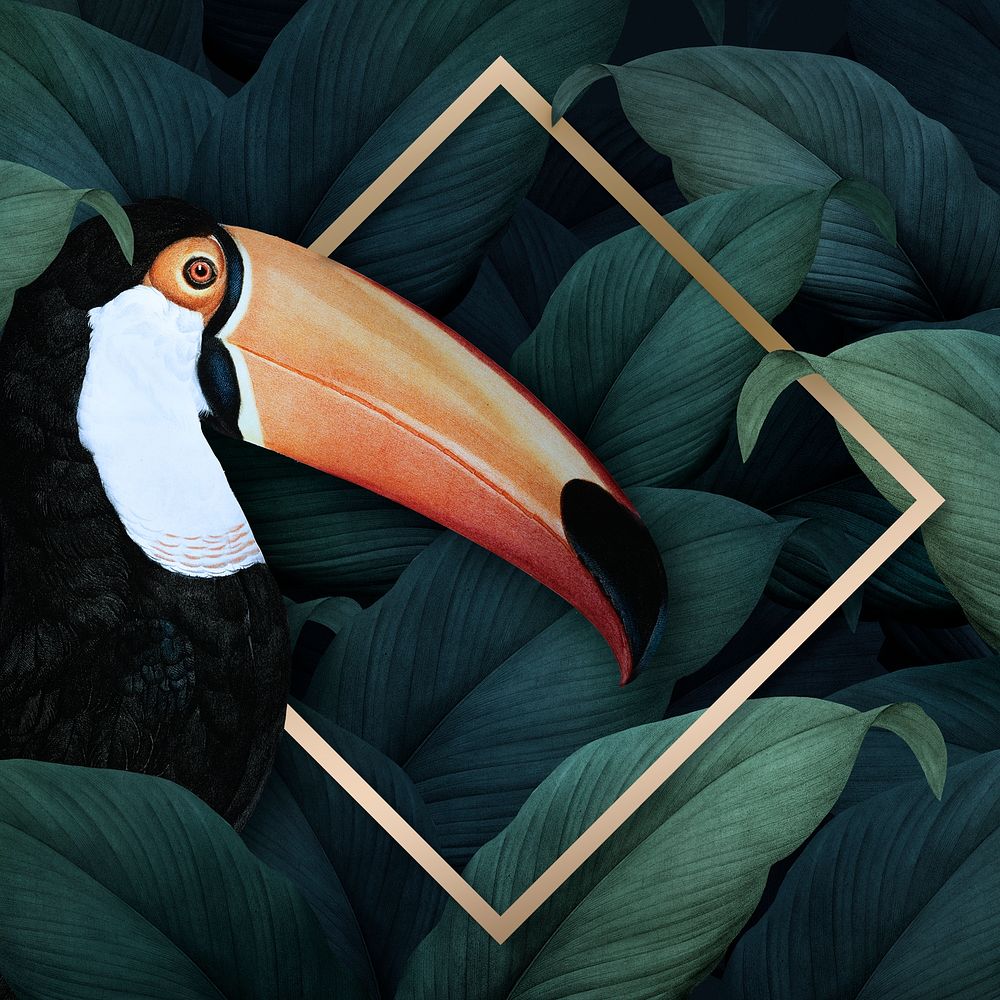 Tropical macaw on a golden rhombus frame illustration
