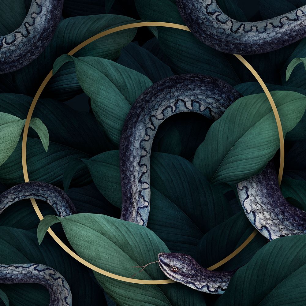 Snake on a round golden banner illustration