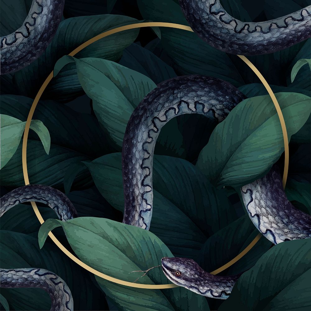 Snake with a round frame on a tropical background vector