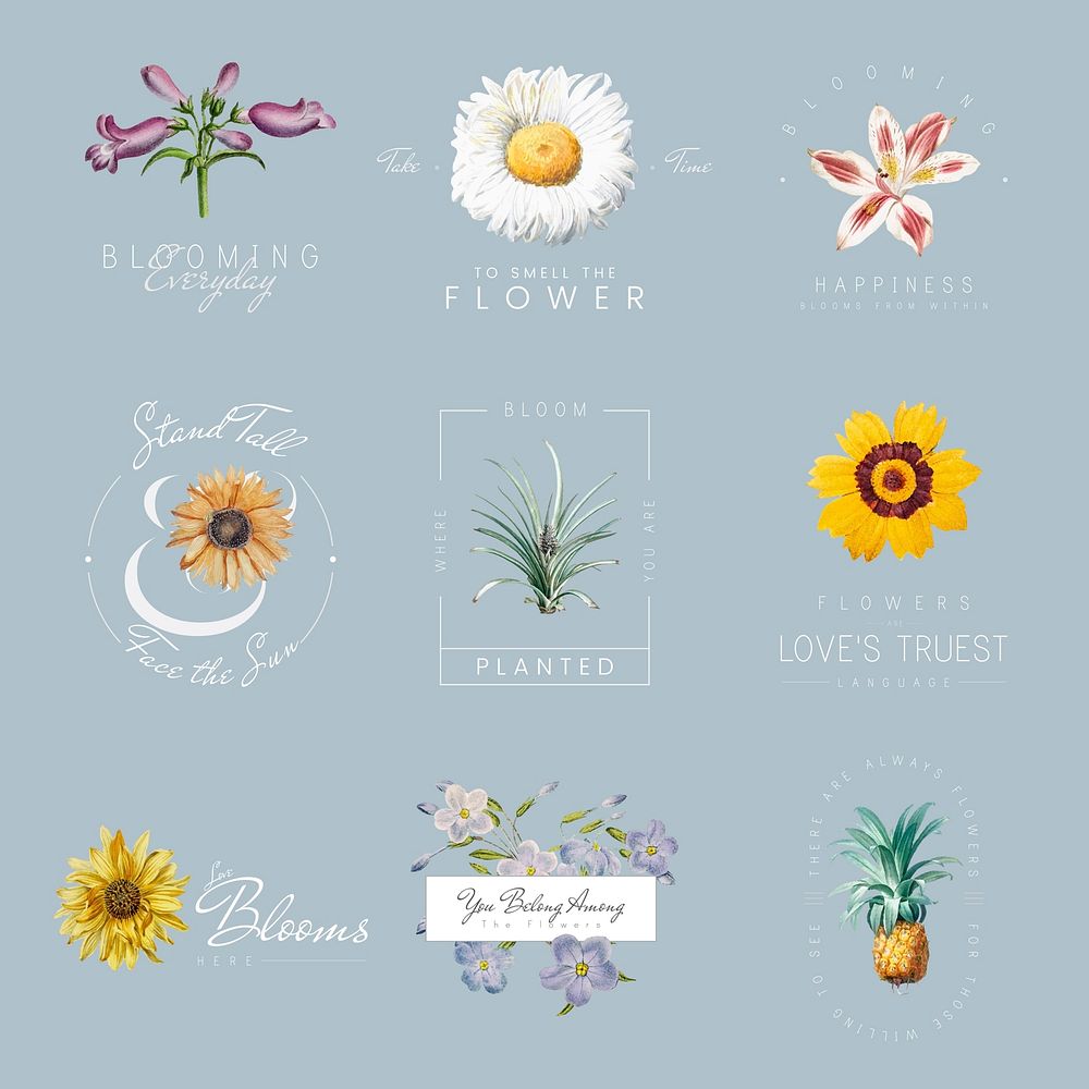 Hand drawn flowers with positive quotes vector set