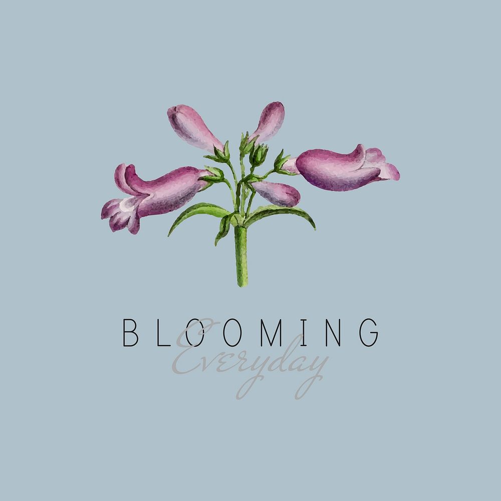 Blooming everyday quote with Broadleaf Penstemon flower vector