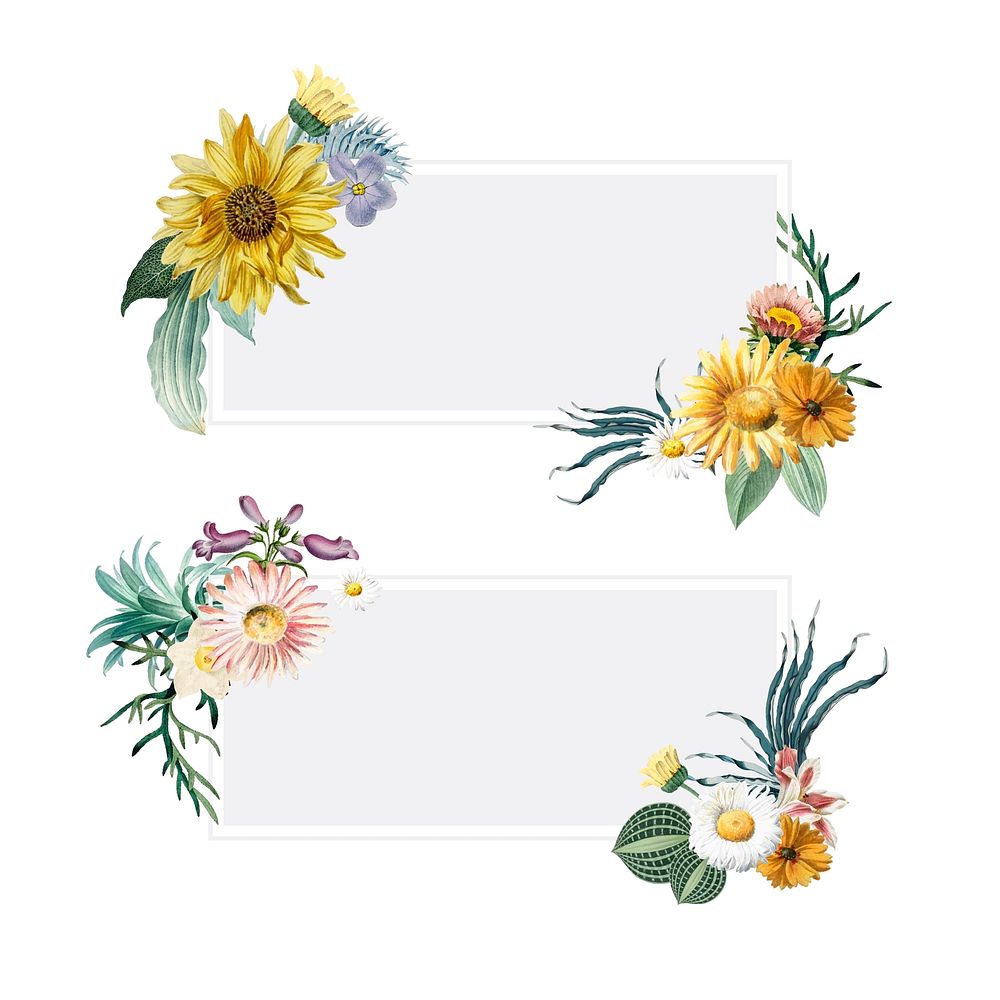Set of floral framed banner vectors
