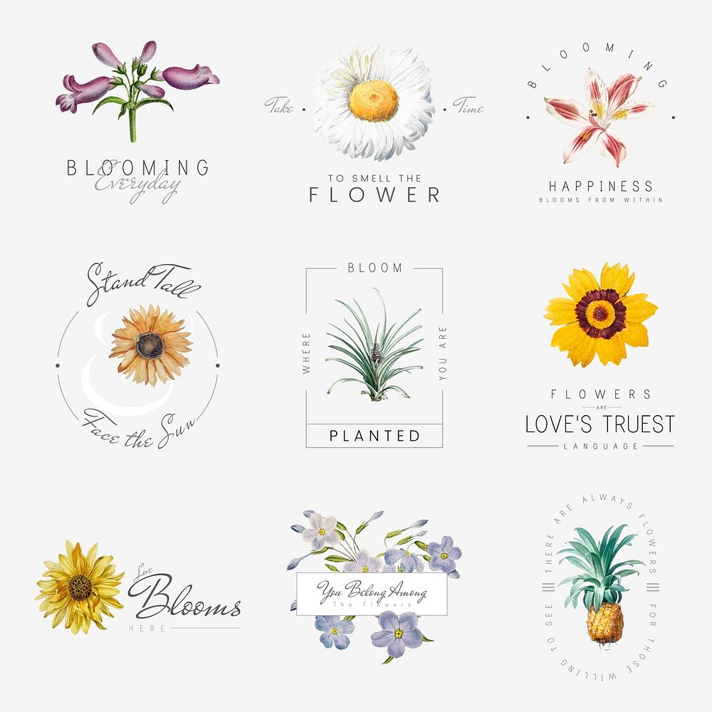 Hand drawn flowers with positive quotes vector set