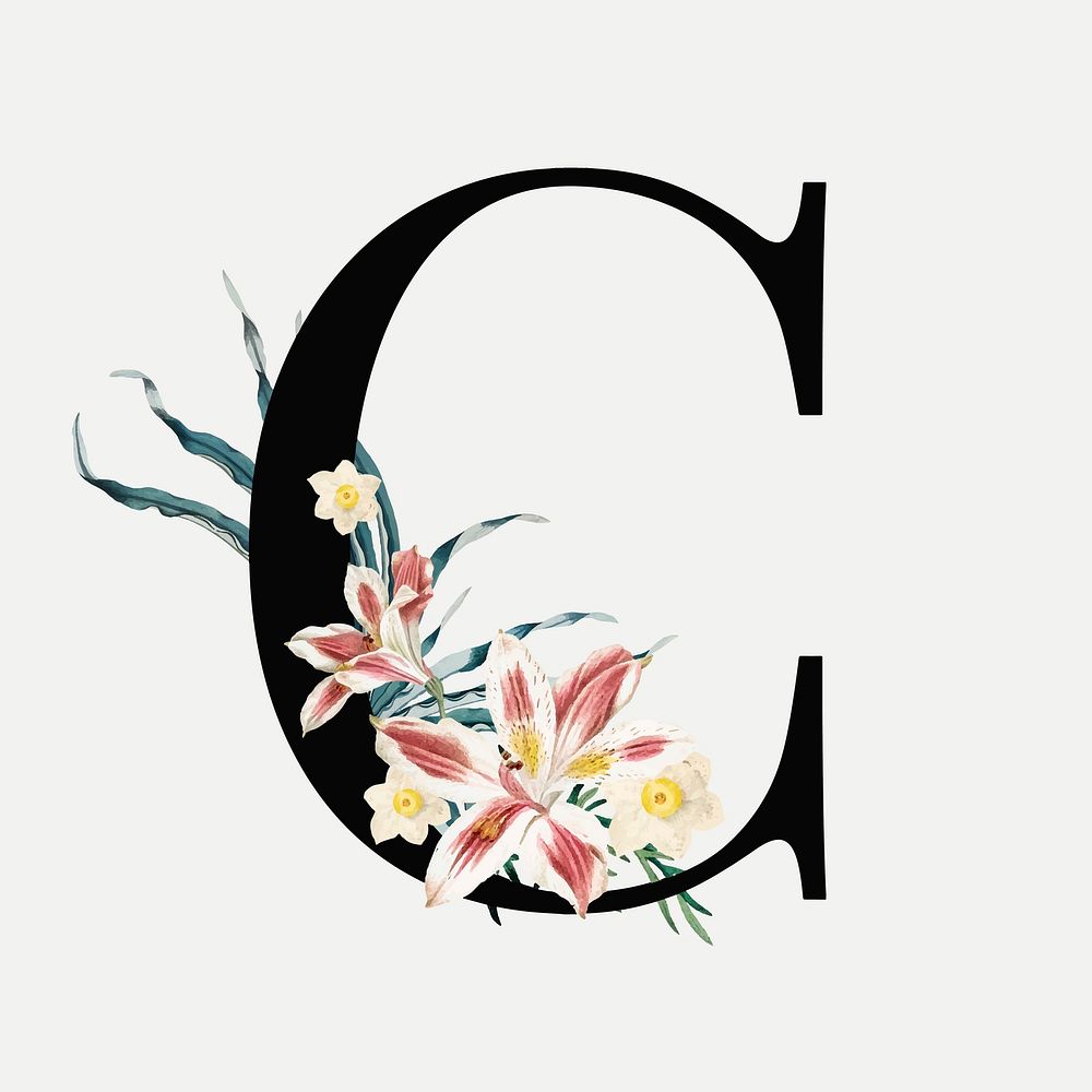 Floral alphabet c vector typography