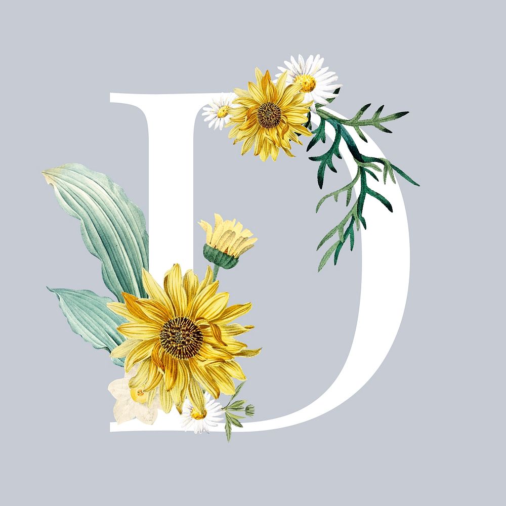 White letter D decorated with hand drawn sunflower and white mums vector