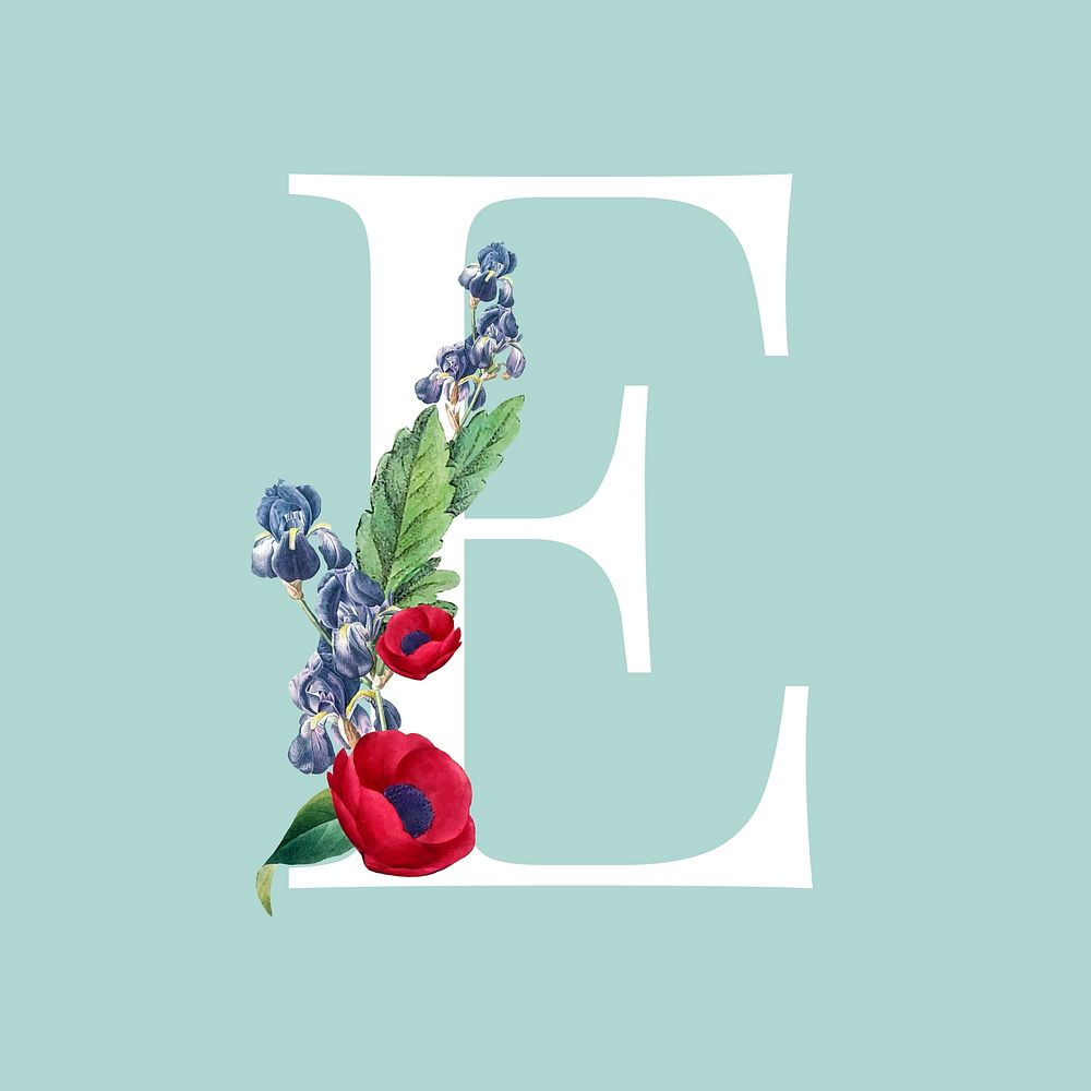 Floral capital letter E alphabet vector
