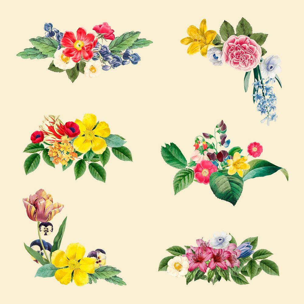 Colorful floral themed border set