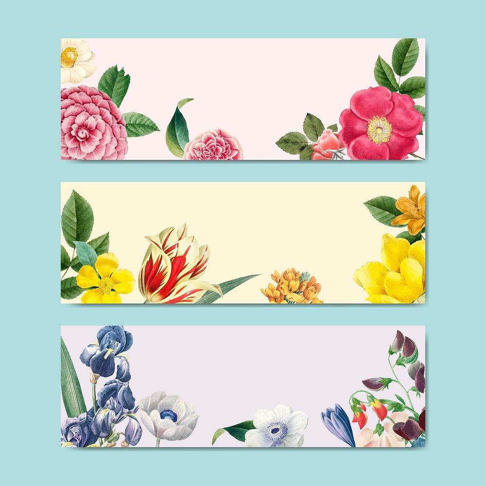 Blank floral banner collection vector