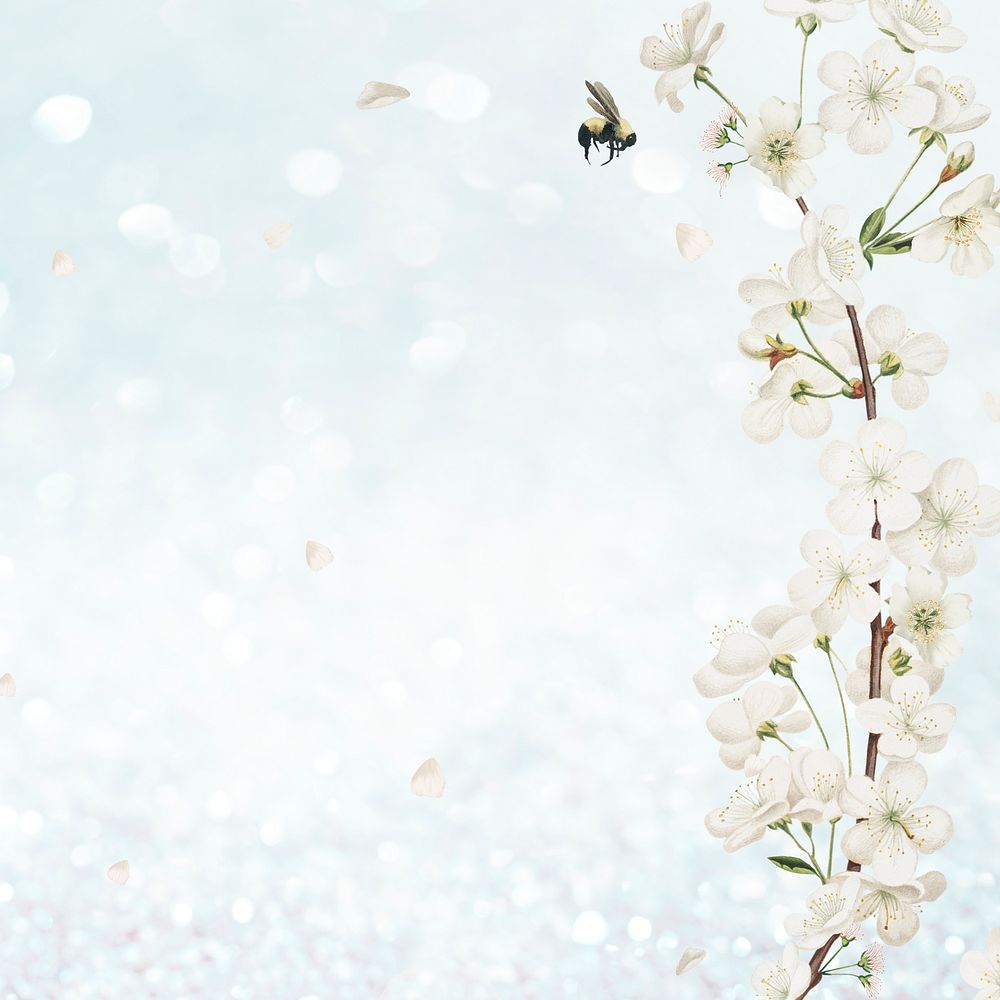 Cherry blossom flower border frame on blue glitter background