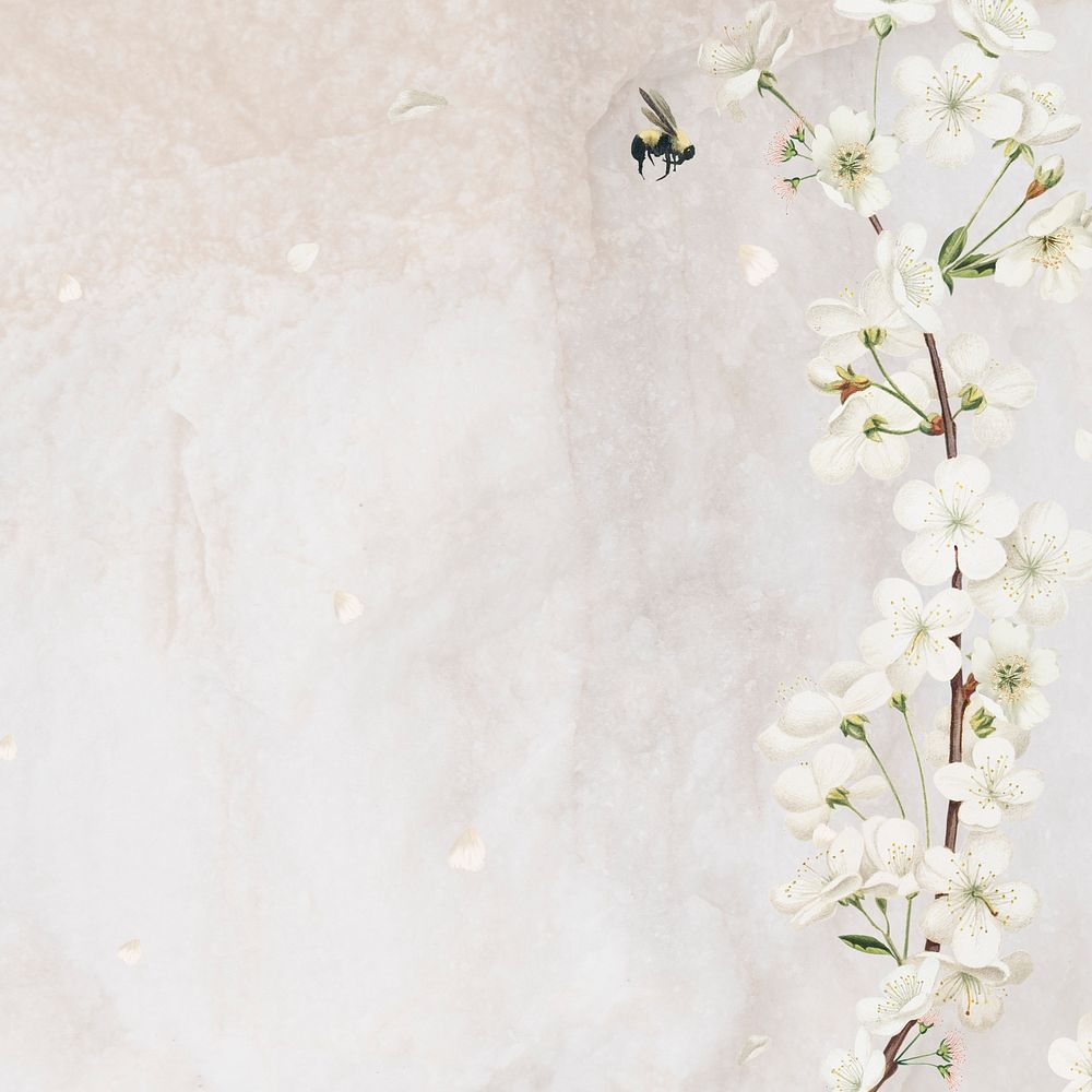 Cherry blossom flower border frame on cream marble background