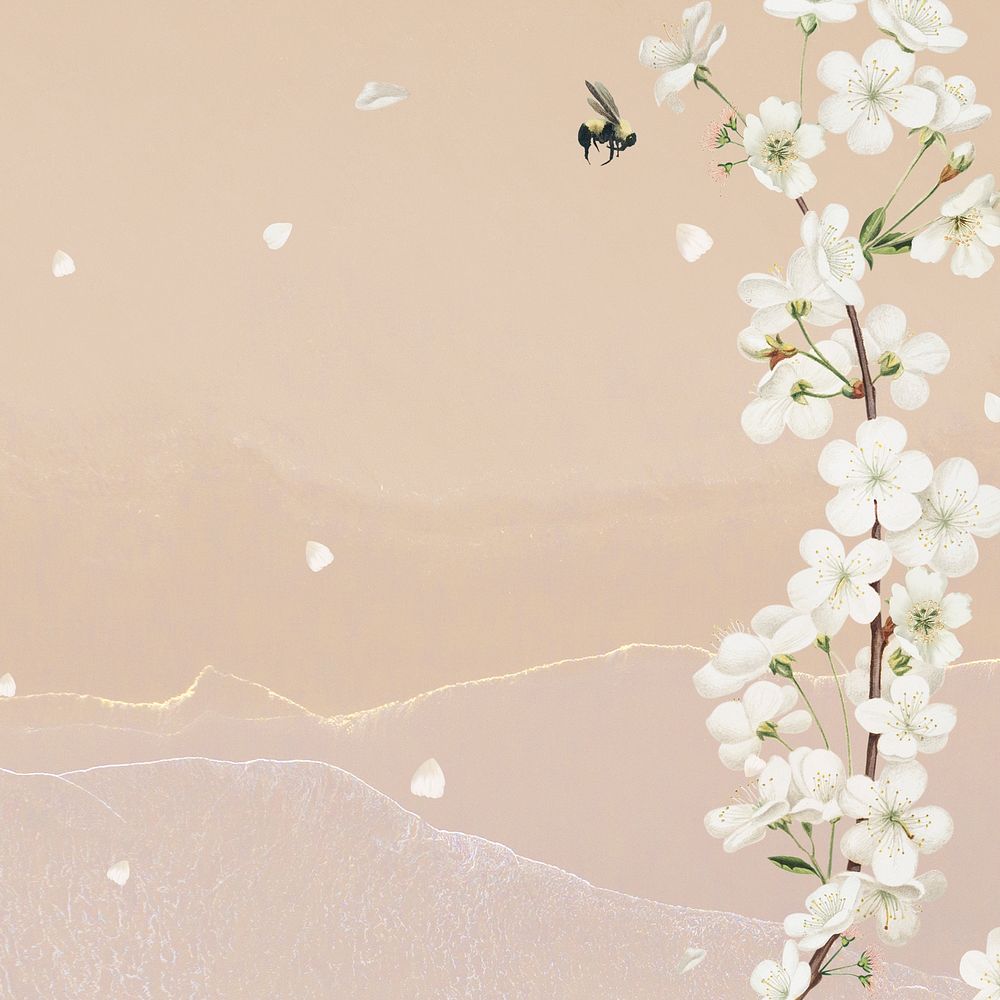 Cherry blossom flower border frame on nude peach background