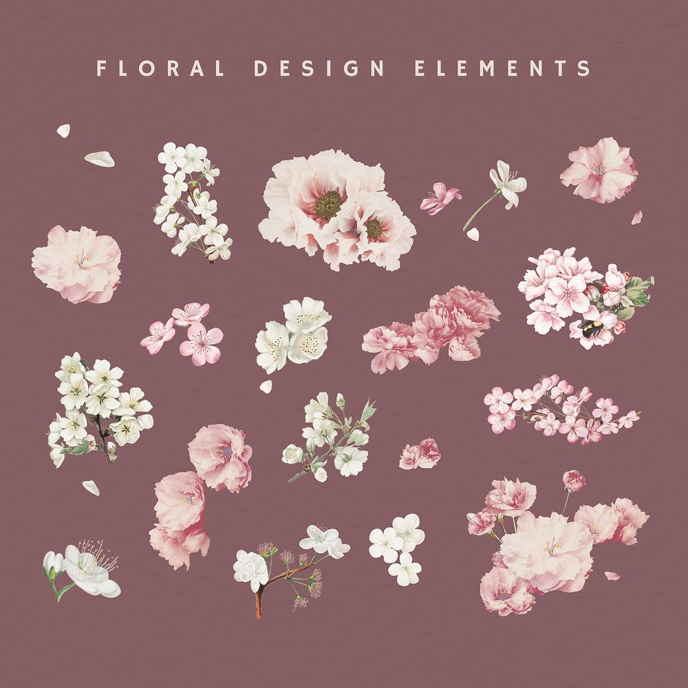 Floral design element collection illustration