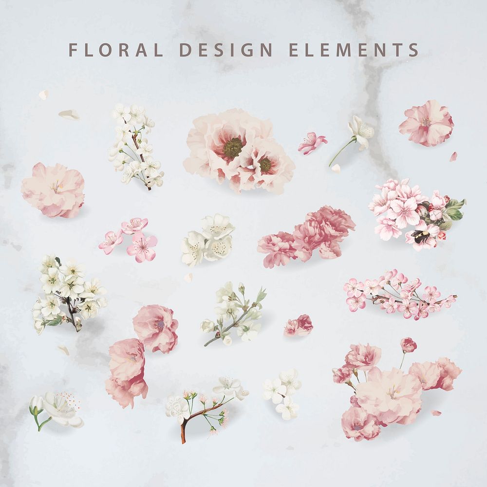 Floral design elements vector collection