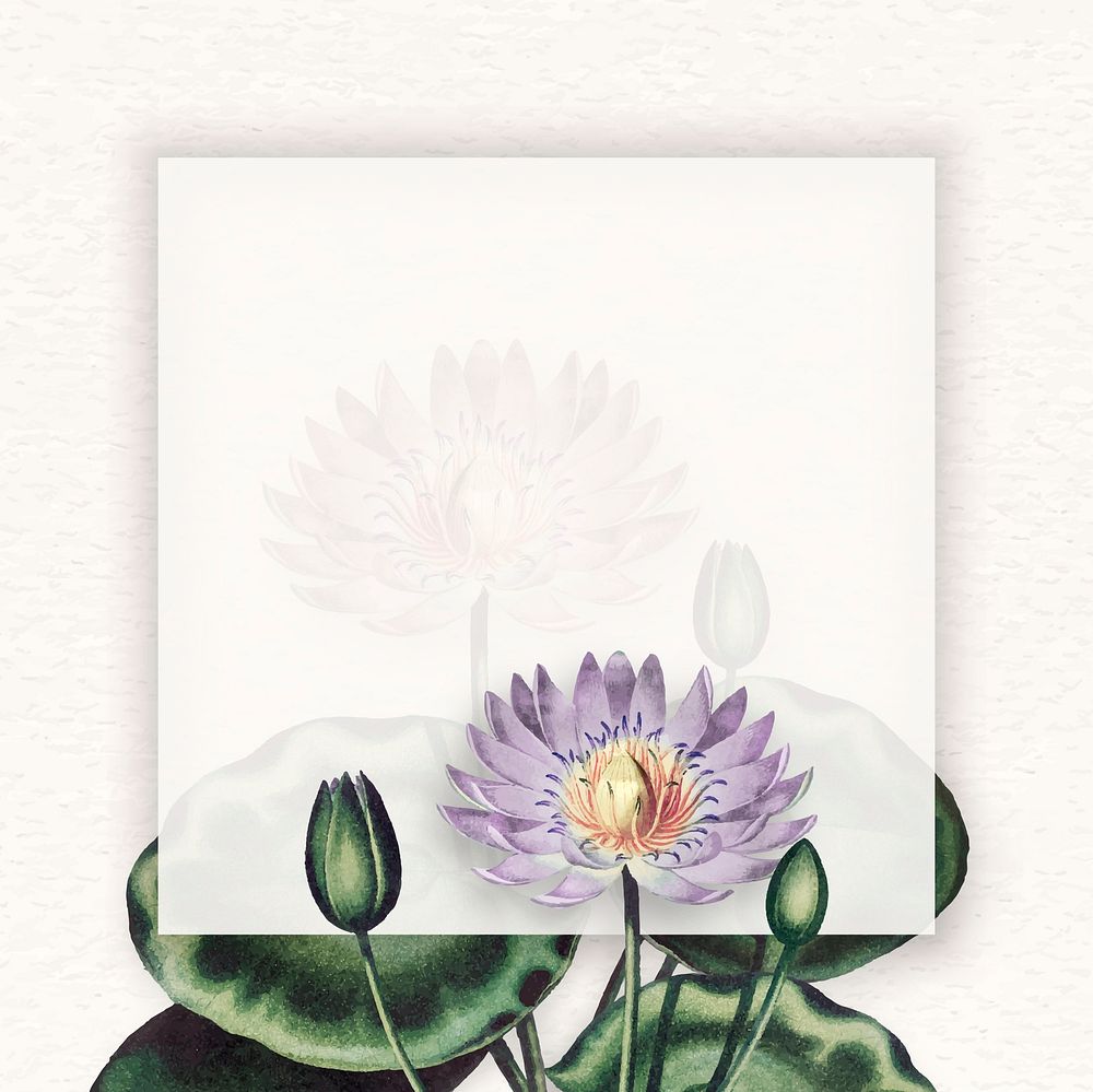 Blank purple water lilies frame vector