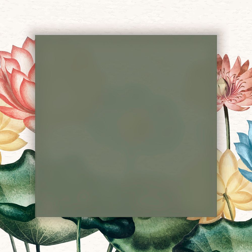 Blank colorful water lilies frame vector