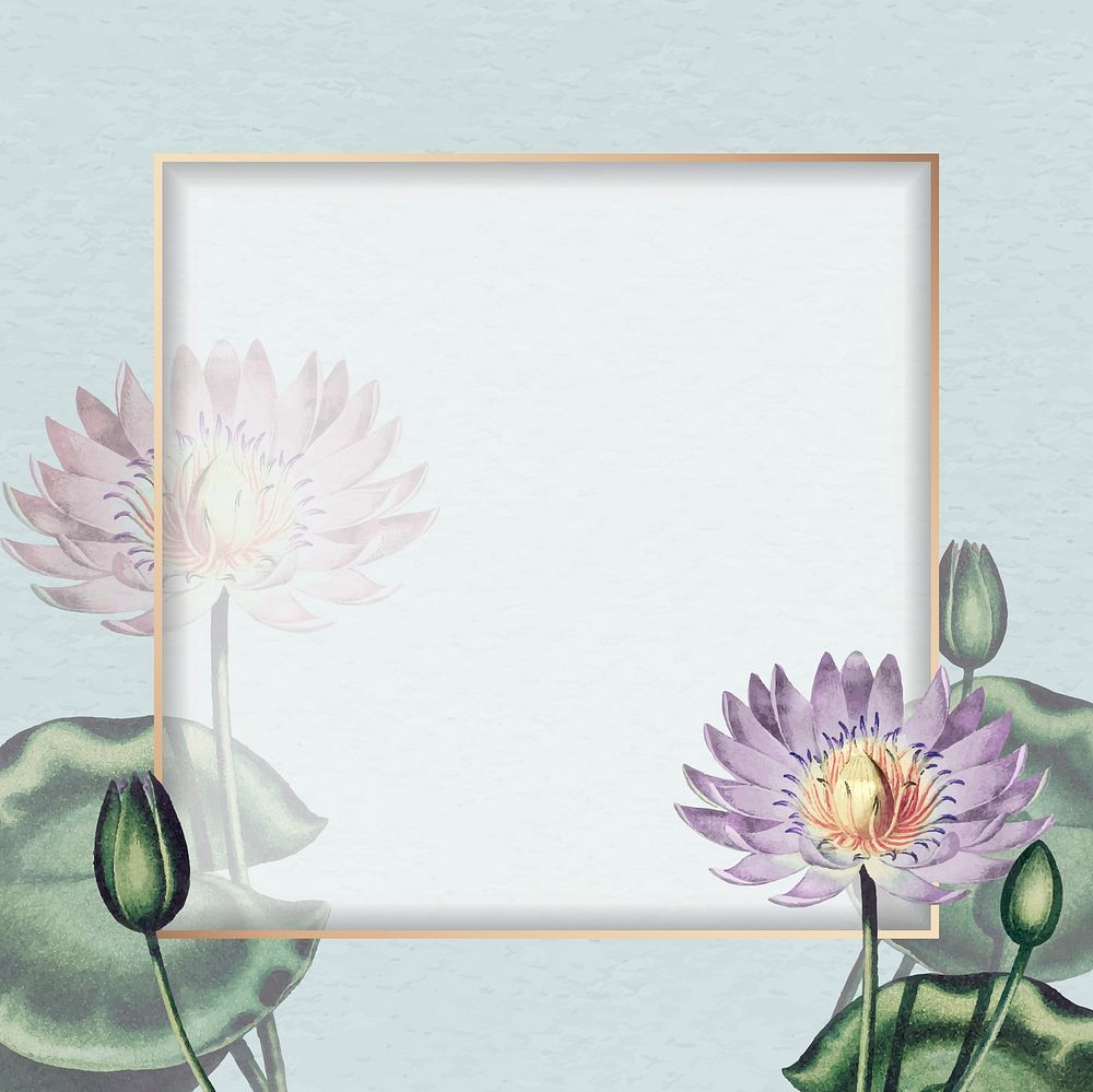 Blank purple water lilies frame vector