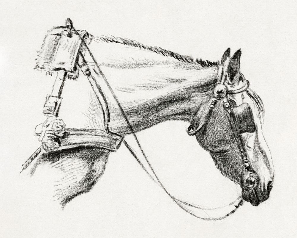 Head of a horse (1820) drawing in high resolution by Jean Bernard. Original from the Rijksmuseum. Digitally enhanced by…