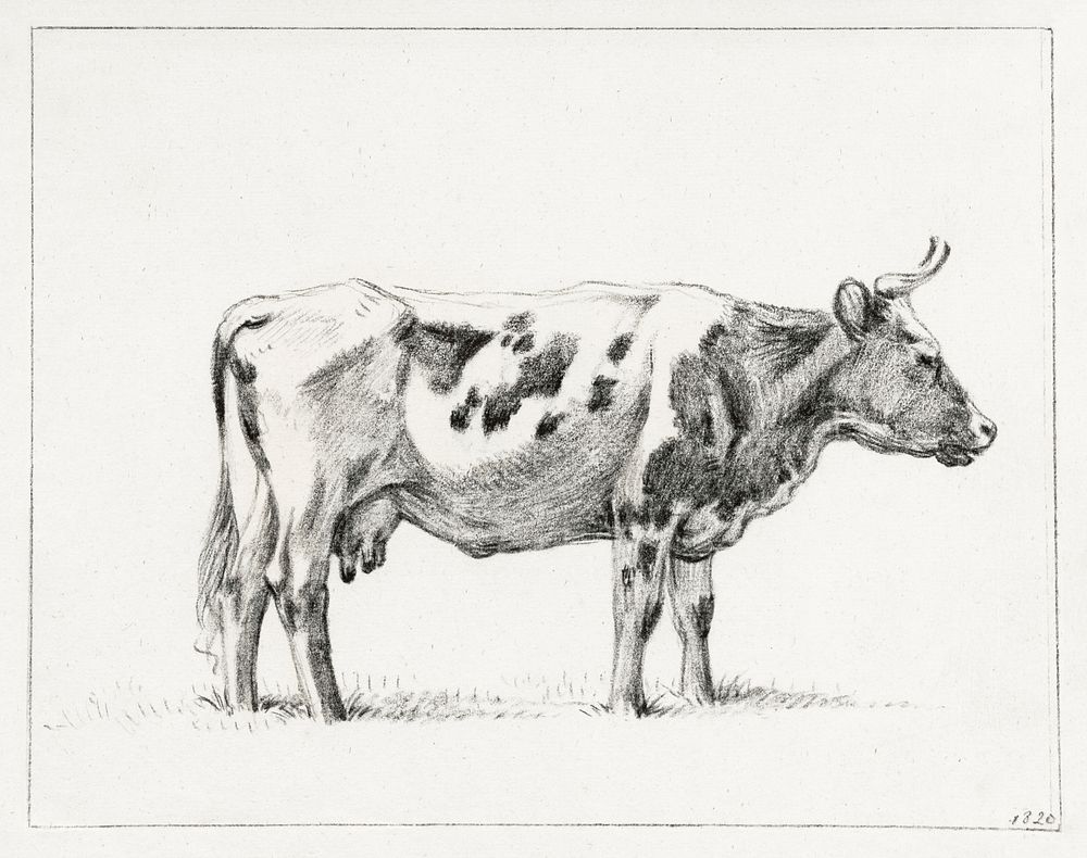 Standing cow (1820) drawing in high resolution by Jean Bernard. Original from the Rijksmuseum. Digitally enhanced by…