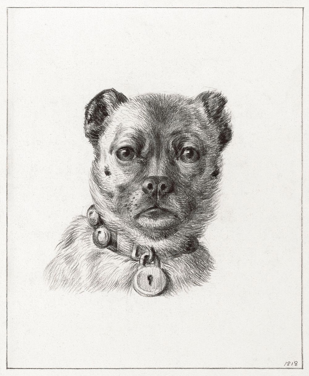 Dog head with a collar (1818) drawing in high resolution by Jean Bernard. Original from the Rijksmuseum. Digitally enhanced…