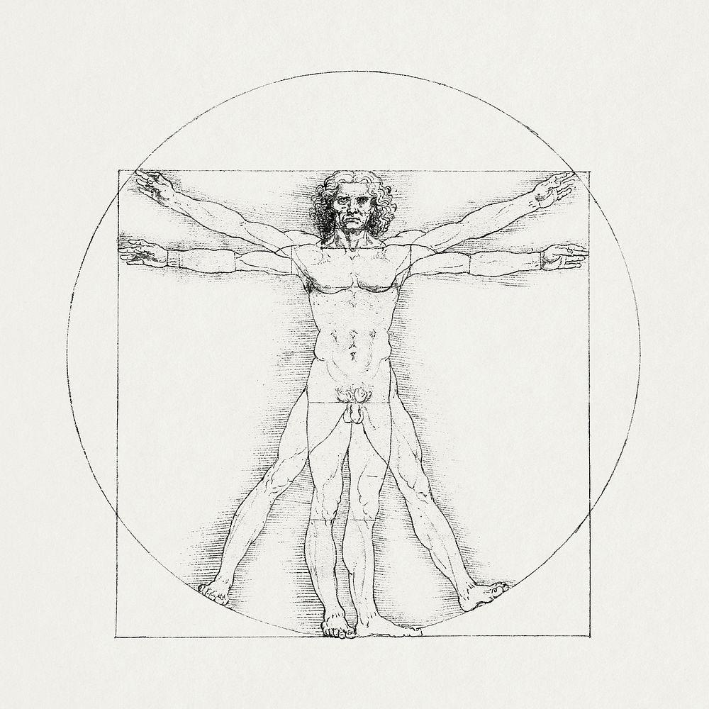 Vitruvian man, human body famous drawing, remixed from artworks by Leonardo da Vinci