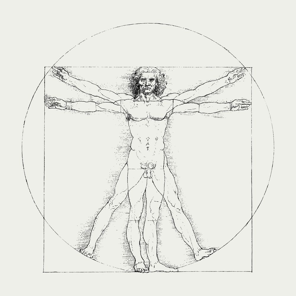 Vitruvian man vector, human body famous drawing, remixed from artworks by Leonardo da Vinci