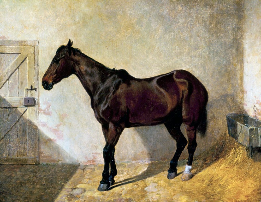 Horse (1842) painting in high resolution by John Frederick Herring. Original from the Minneapolis Institute of Art.…