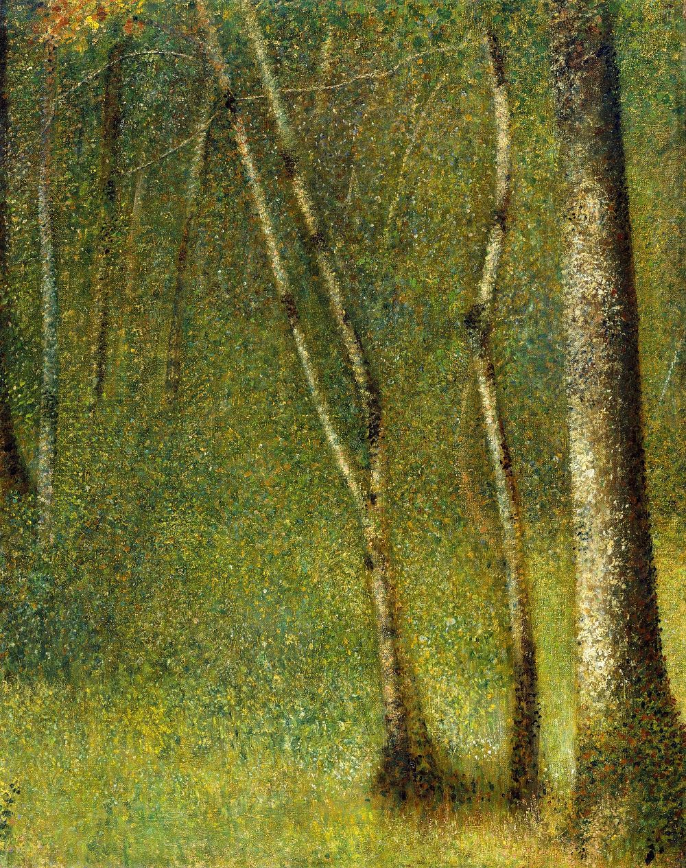 The Forest at Pontaubert (1881) by Georges Seurat. Original from The MET Museum. Digitally enhanced by rawpixel.