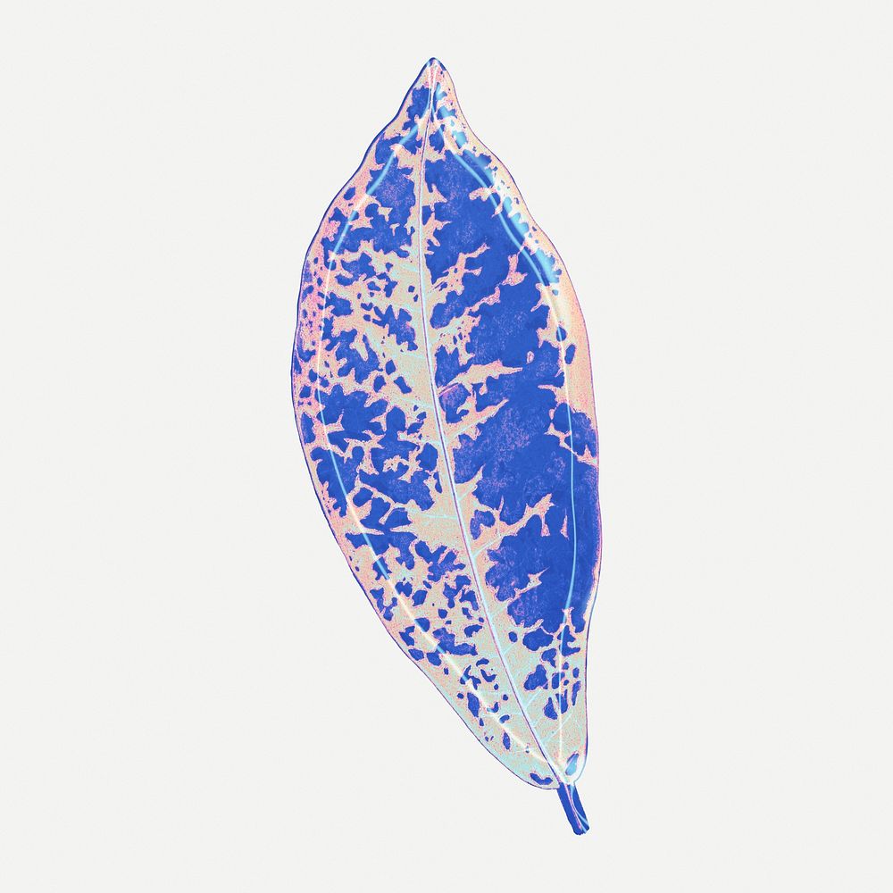 Blue leaf illustration, aesthetic nature graphic psd