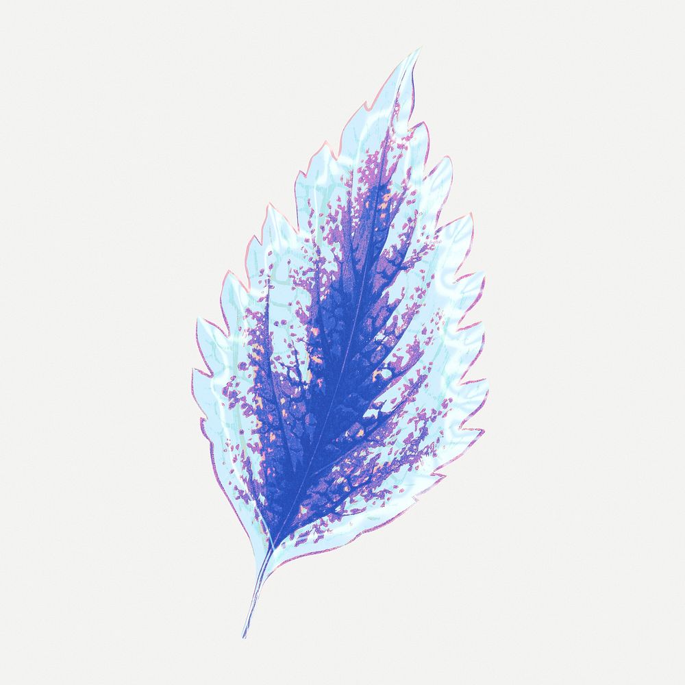Blue leaf illustration, aesthetic nature graphic psd