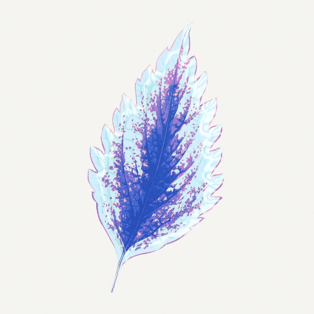 Blue leaf illustration, aesthetic nature graphic