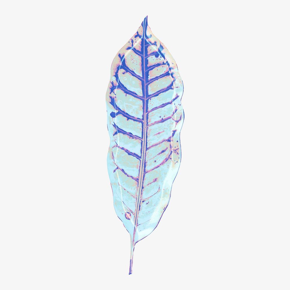 Blue leaf illustration, aesthetic nature graphic vector