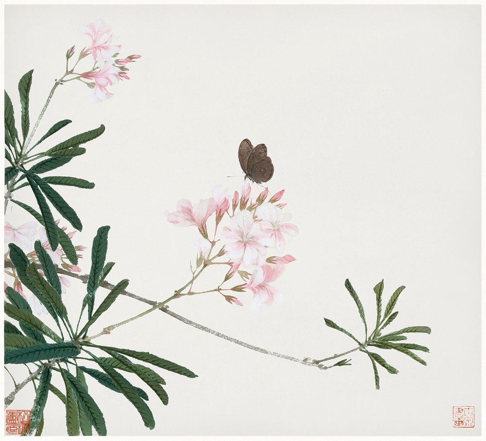 Chinese butterfly and flowers illustration